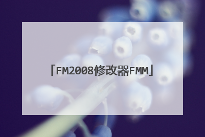 FM2008修改器FMM