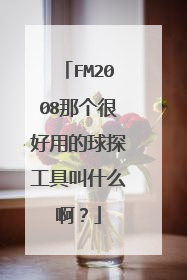 FM2008那个很好用的球探工具叫什么啊？