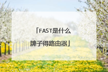 FAST是什么牌子得路由器