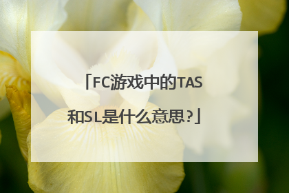 FC游戏中的TAS和SL是什么意思?
