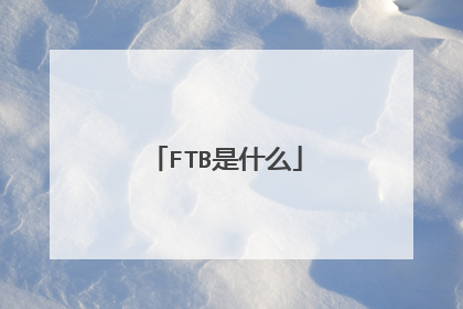 FTB是什么