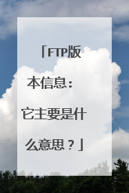FTP版本信息: 它主要是什么意思？