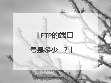 FTP的端口号是多少 ？