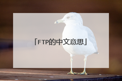 FTP的中文意思