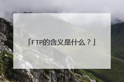 FTP的含义是什么？