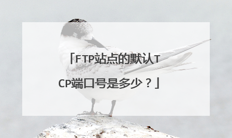 FTP站点的默认TCP端口号是多少?