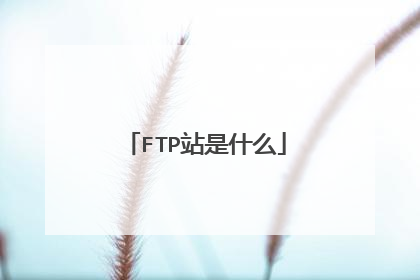 FTP站是什么