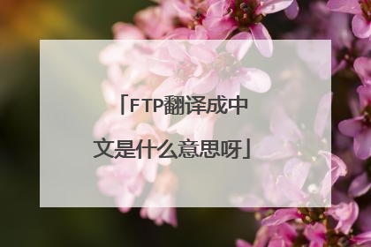 FTP翻译成中文是什么意思呀