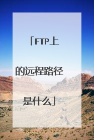 FTP上的远程路径是什么