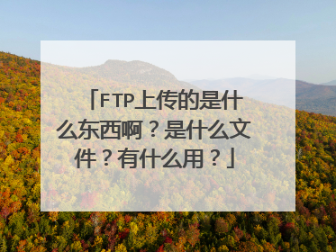 FTP上传的是什么东西啊？是什么文件？有什么用？