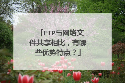 FTP与网络文件共享相比，有哪些优势特点？
