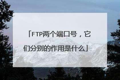FTP两个端口号，它们分别的作用是什么