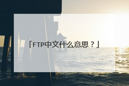 FTP中文什么意思？