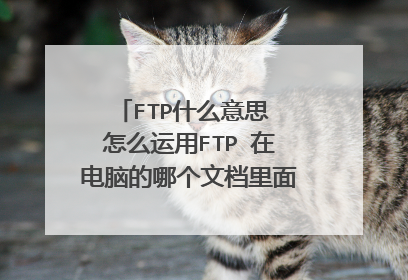 FTP什么意思 怎么运用FTP 在电脑的哪个文档里面可以设置FTP