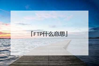FTP什么意思
