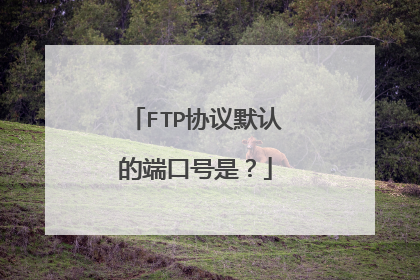FTP协议默认的端口号是？