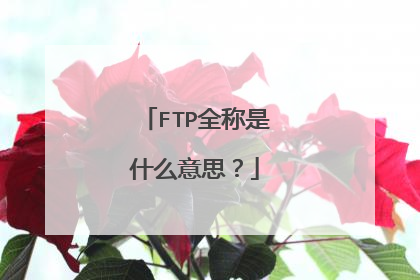FTP全称是什么意思？