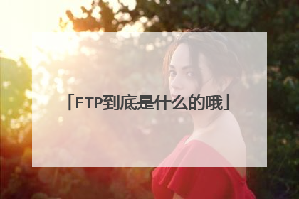 FTP到底是什么的哦
