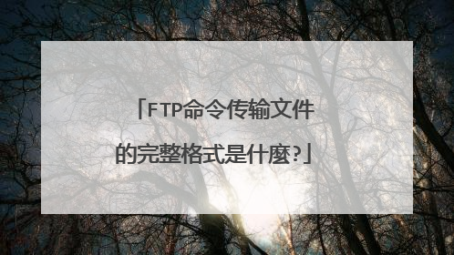 FTP命令传输文件的完整格式是什麼?