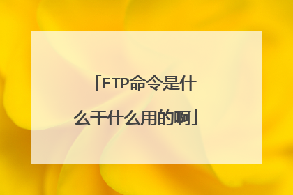 FTP命令是什么干什么用的啊