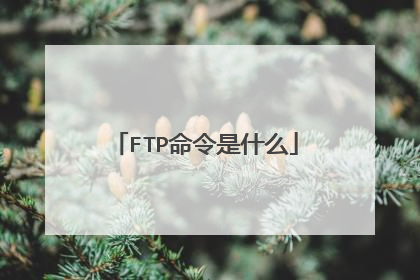 FTP命令是什么