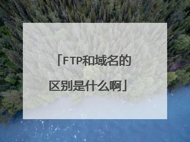 FTP和域名的区别是什么啊
