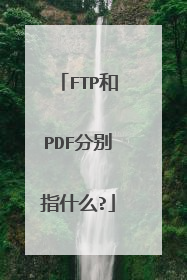 FTP和PDF分别指什么?
