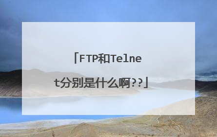 FTP和Telnet分别是什么啊??