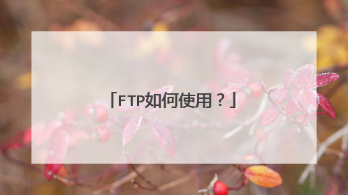 FTP如何使用？