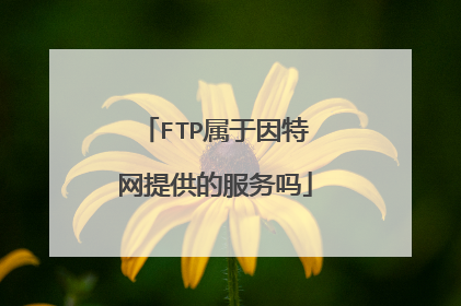 FTP属于因特网提供的服务吗