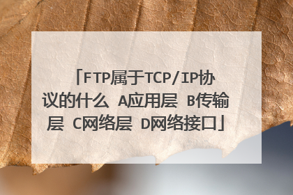 FTP属于TCP/IP协议的什么 A应用层 B传输层 C网络层 D网络接口