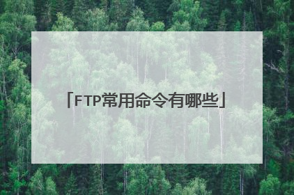 FTP常用命令有哪些