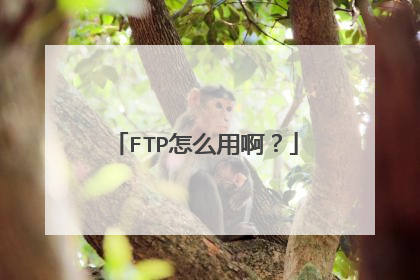 FTP怎么用啊?