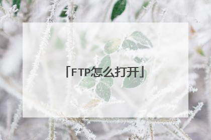 FTP怎么打开