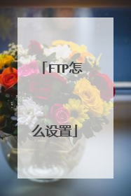 FTP怎么设置