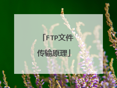 FTP文件传输原理