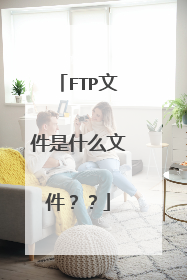 FTP文件是什么文件??