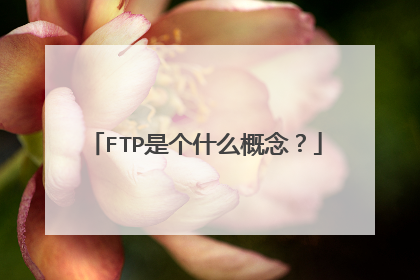 FTP是个什么概念？