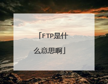 FTP是什么意思啊