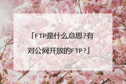 FTP是什么意思?有对公网开放的FTP?