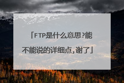FTP是什么意思?能不能说的详细点,谢了
