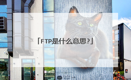 FTP是什么意思?