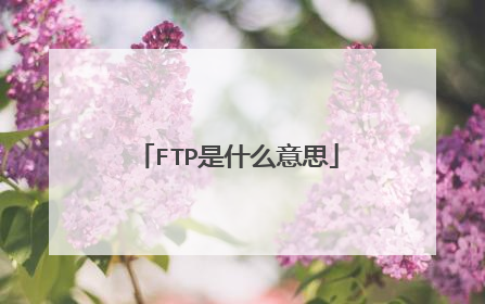 FTP是什么意思