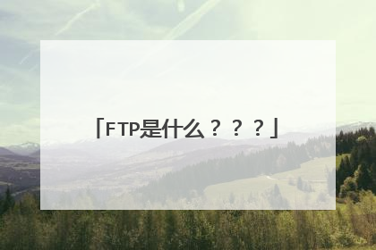 FTP是什么？？？