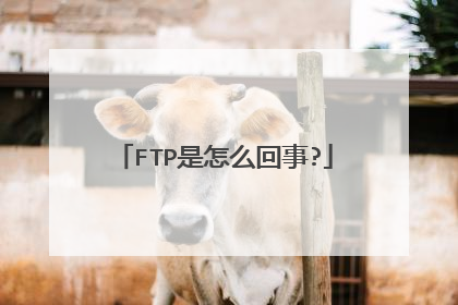 FTP是怎么回事?