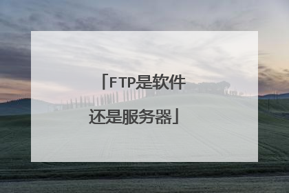 FTP是软件还是服务器