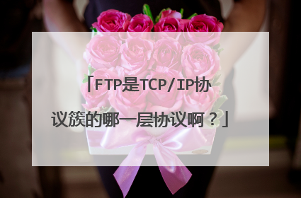 FTP是TCP/IP协议簇的哪一层协议啊?