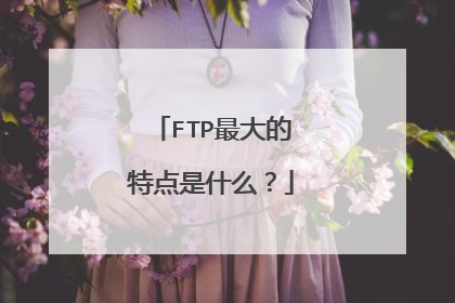 FTP最大的特点是什么？