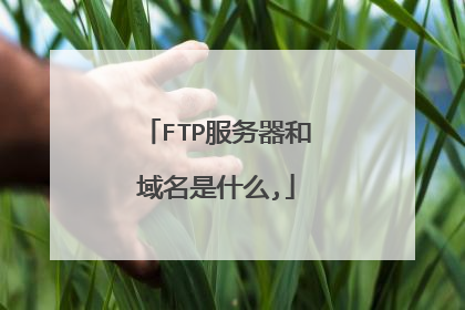 FTP服务器和域名是什么,