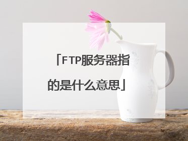 FTP服务器指的是什么意思